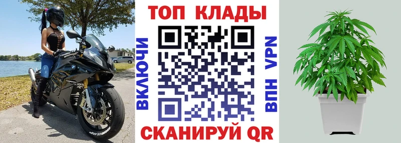 Купить закладку Волгодонск OMG как зайти  ГАШИШ  Канабис  Cocaine 