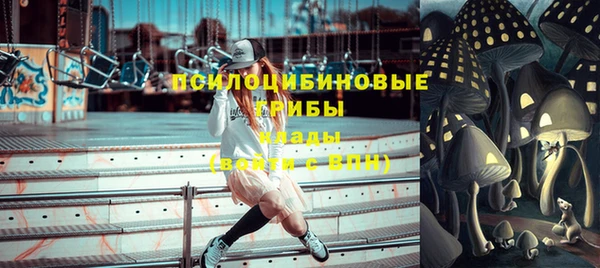 дурь Богородицк
