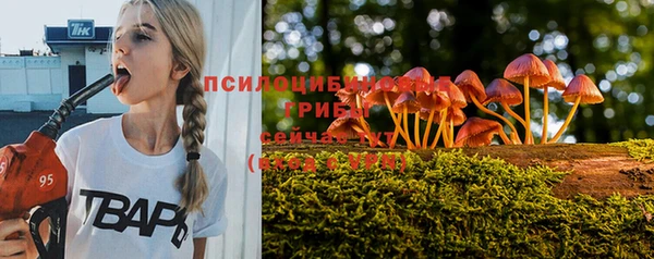 дурь Богородицк