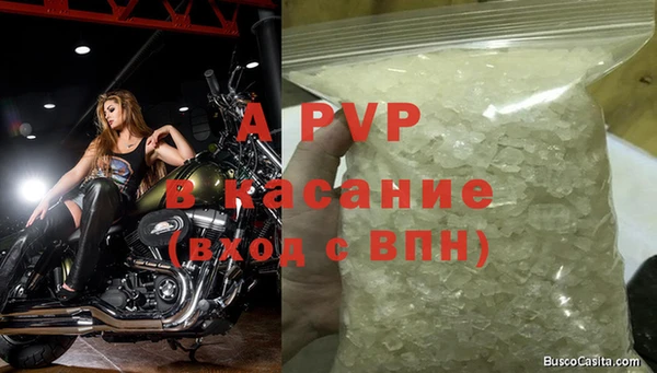 гидра Богородск