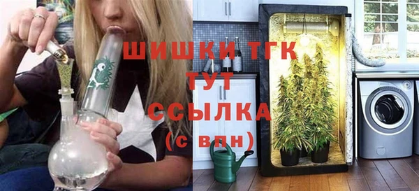 гидра Богородск