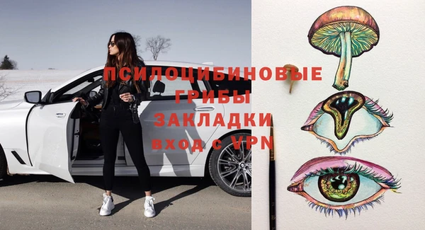 мяу мяу мука Бородино