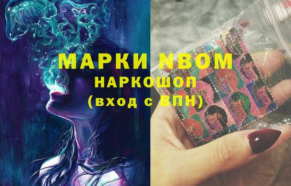 гидра Богородск