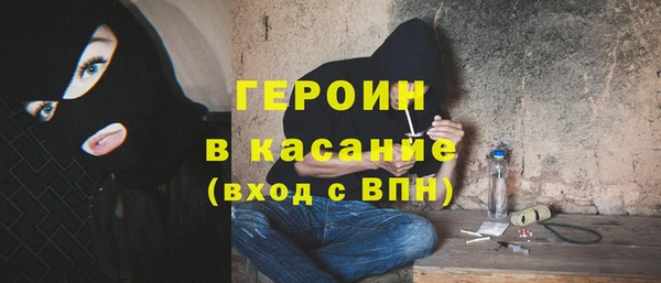 гидра Богородск
