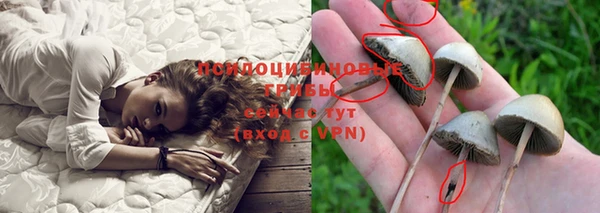 дурь Богородицк