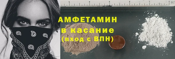 гидра Богородск